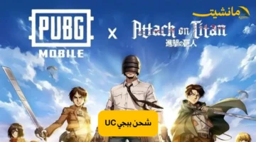 شحن ببجي UC الآن مع أفضل العروض وأسهل طرق الدفع.. فرصة لاتفوتك